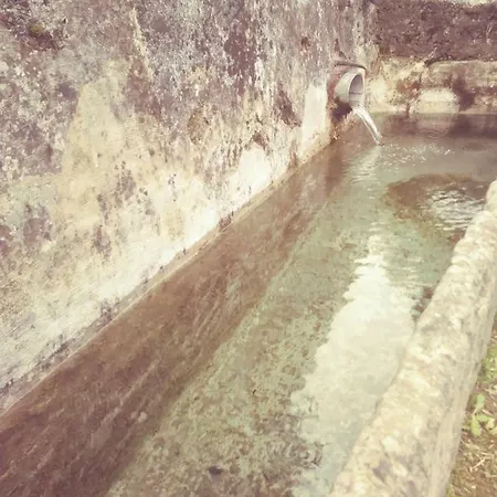 招待所 Antica Calvasino 勒泽诺
